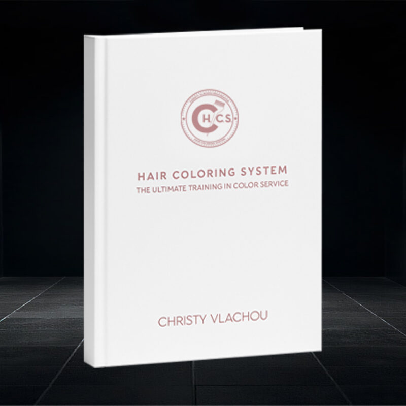 H.C.S. HAIR COLORING SYSTEM