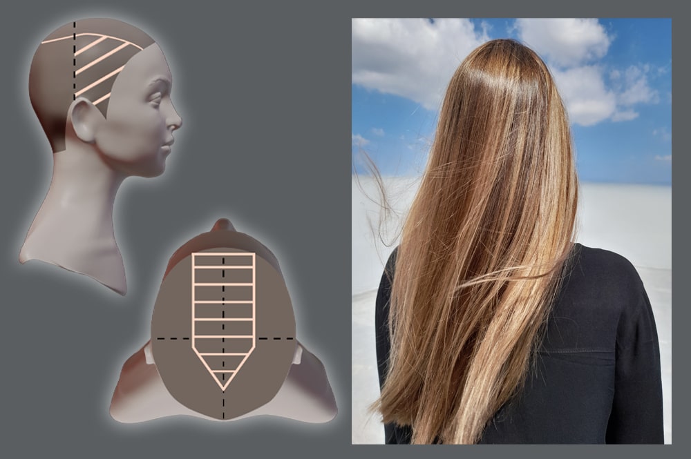Balayage à la Moitié de la Tête